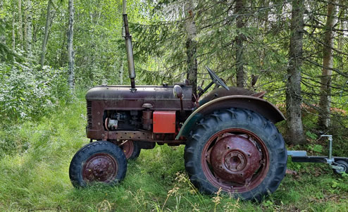 Hörnefors trädgårdssällskap